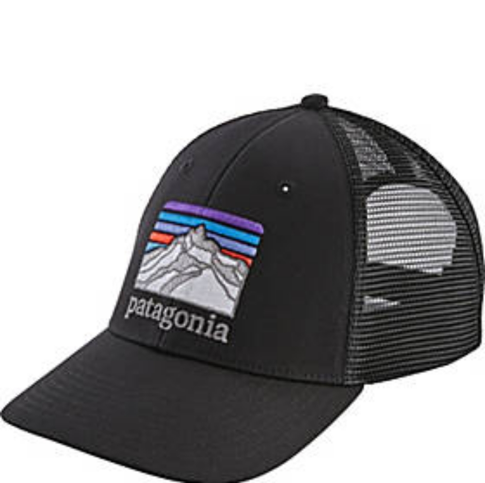🆕🎄Patagonia Logo Ridge LoPro Trucker Hat